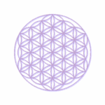 Blume des Lebens: Symbol für weibliche Dynamik zwischen Gefühl, Bewusstheit und individueller Evolution.
